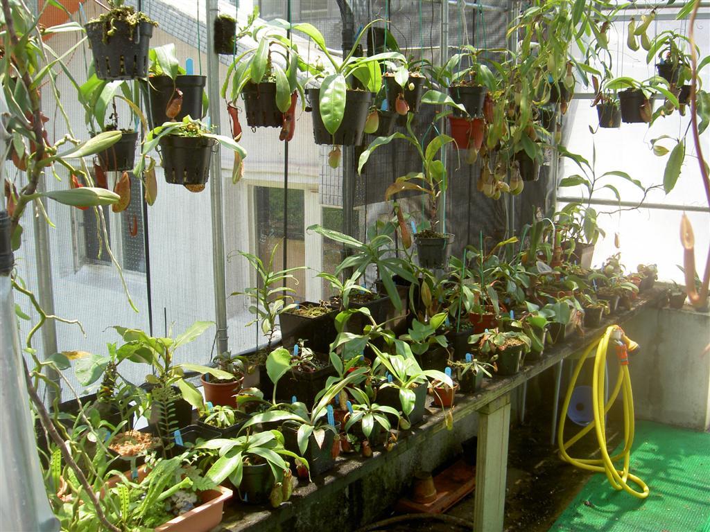 Greenhouse Interior_4